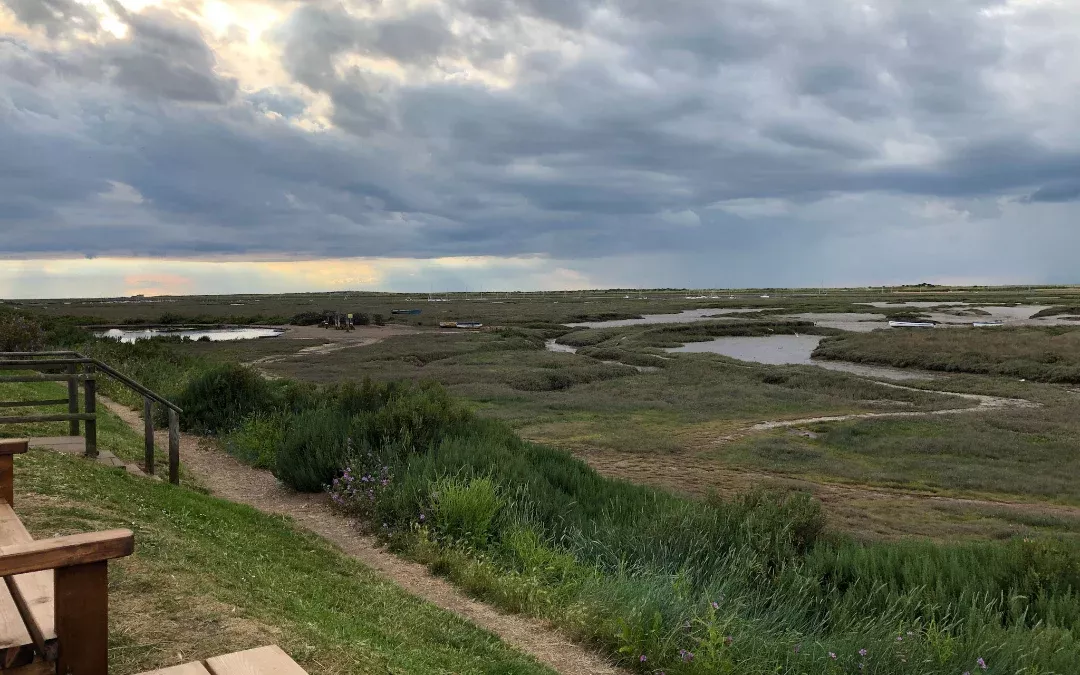 marshes on the coastal path of norfolk