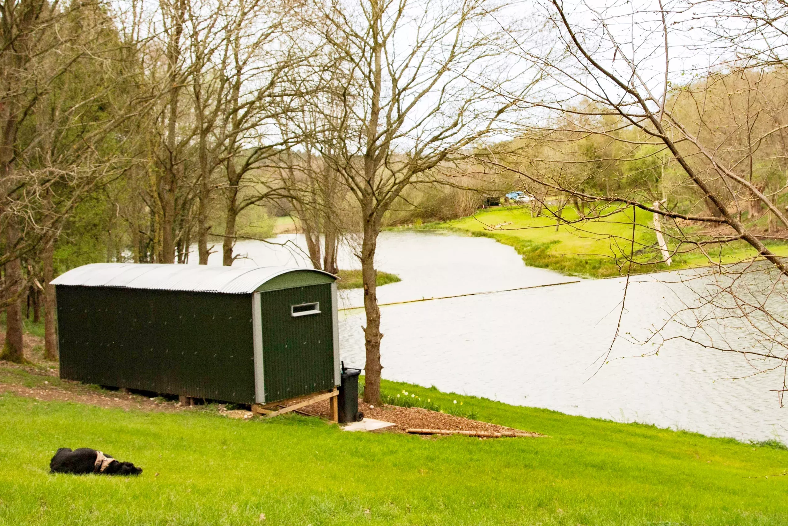 our shepherds hut gacing out on to a lake with a dog lounging in the foreground