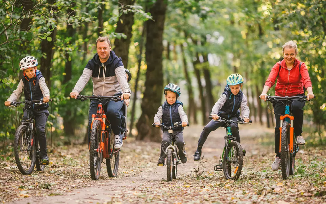 Go for a bike ride around Thetford Forest - Seaside Holidays
