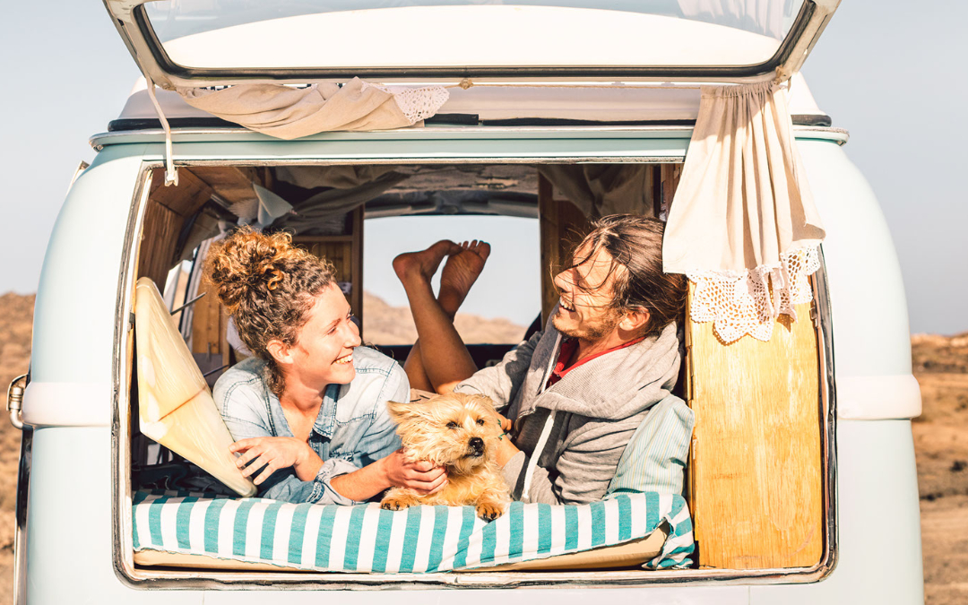 couple in campervan with dog