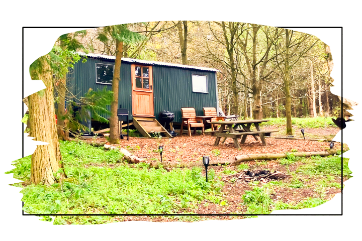 Holt - Glamping Shepherds Hut