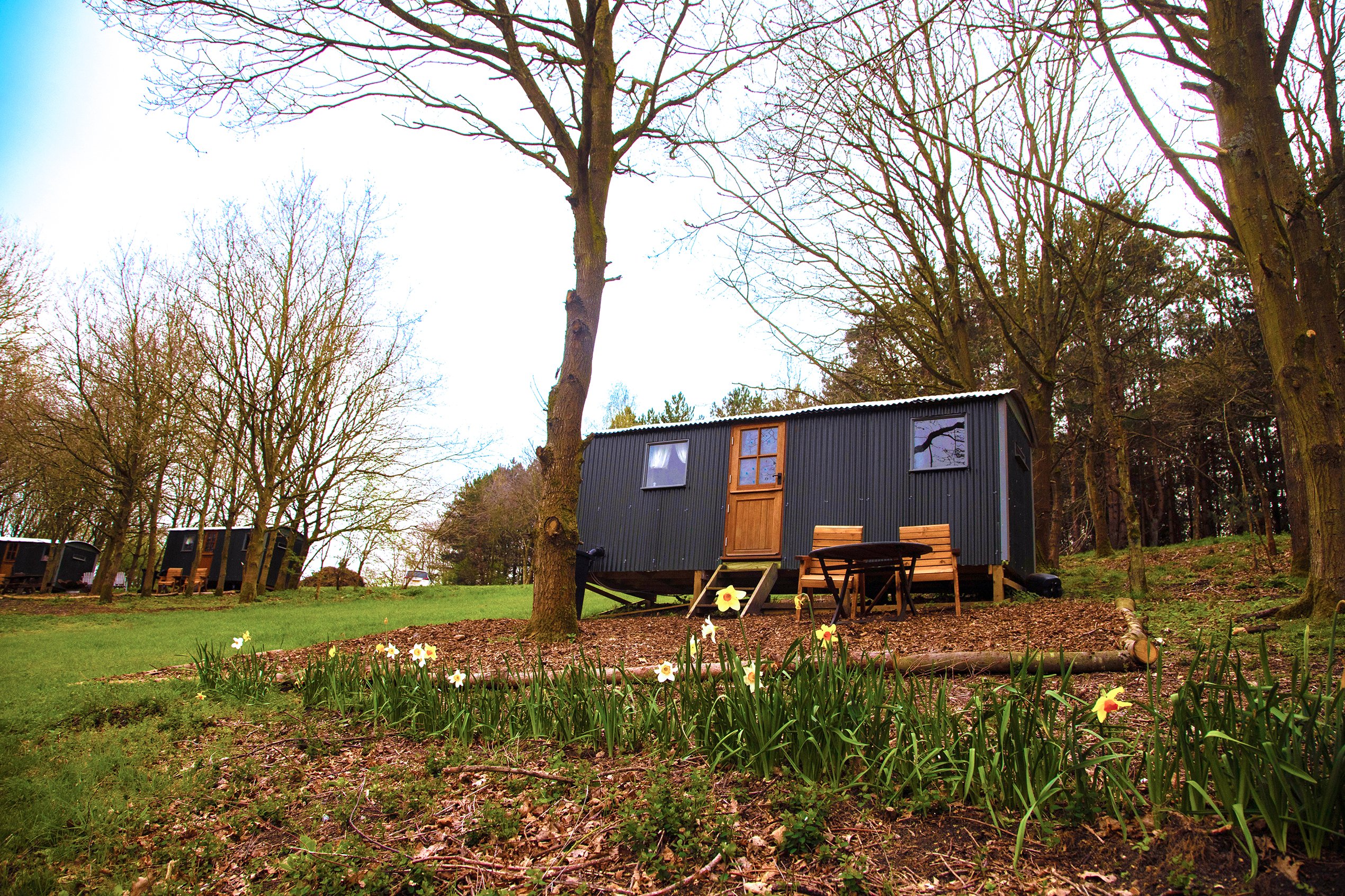 Holt - Glamping Shepherds Hut