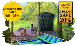 Official Site Offer - Book Direct - Glamping Shepherds Hut - Holt Hollow