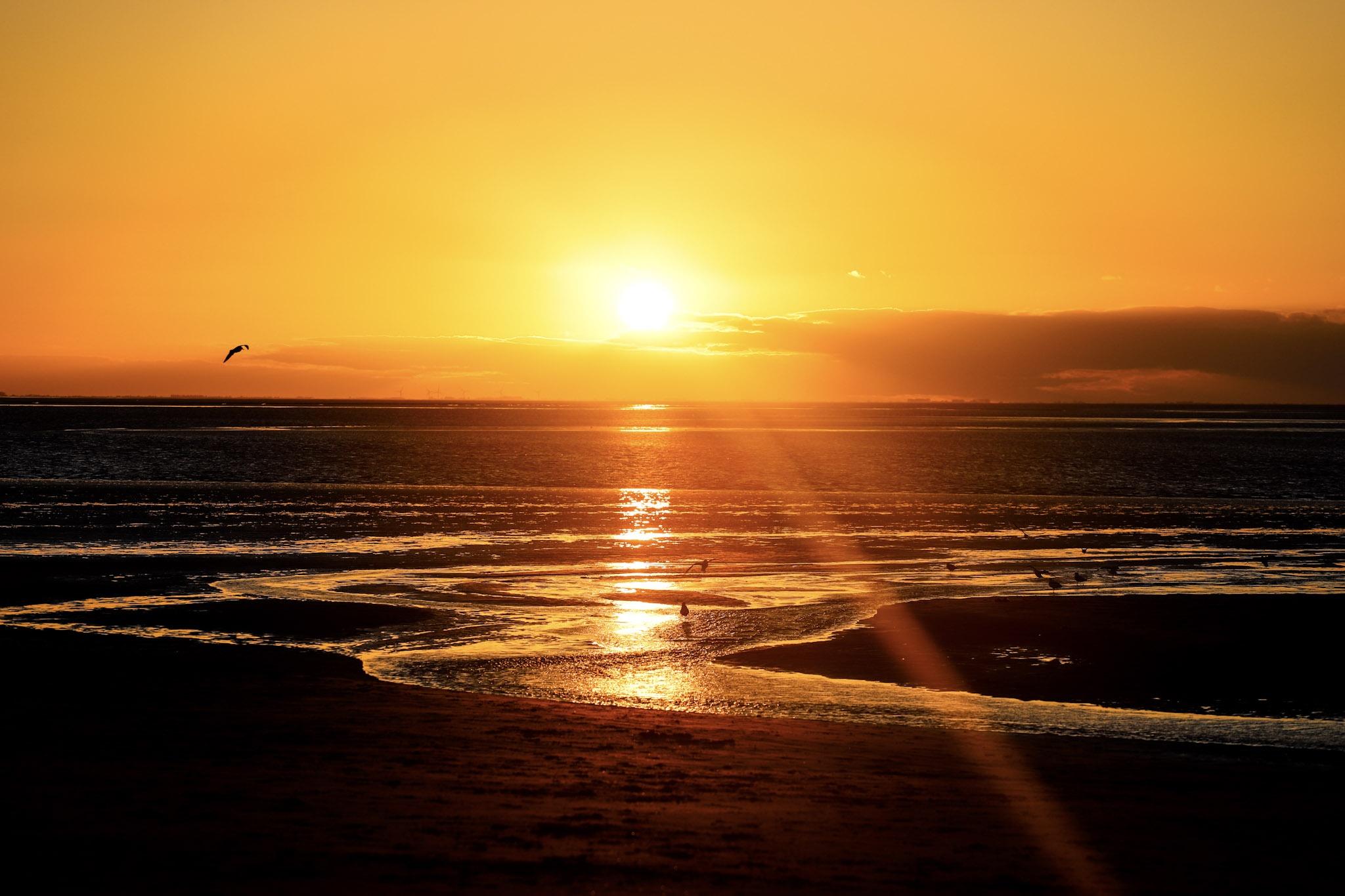 South Beach Camping: South beach sunset