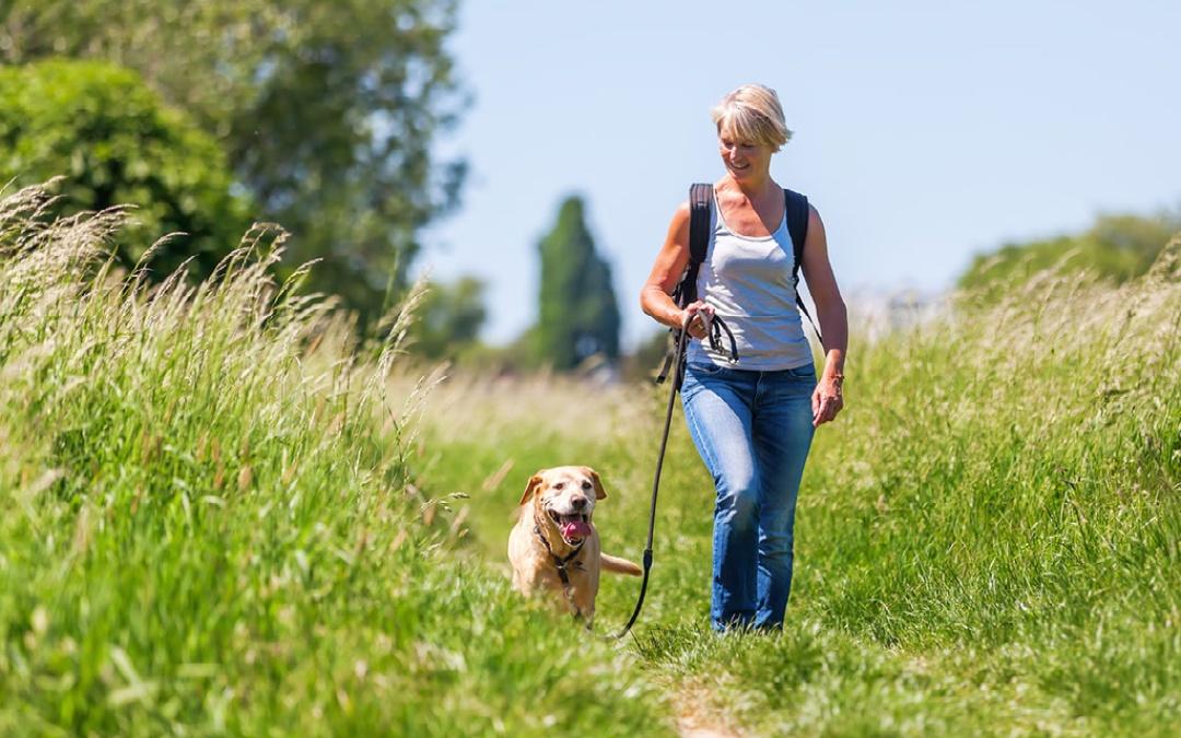 Hiking the Norfolk Coast PAth with your dog