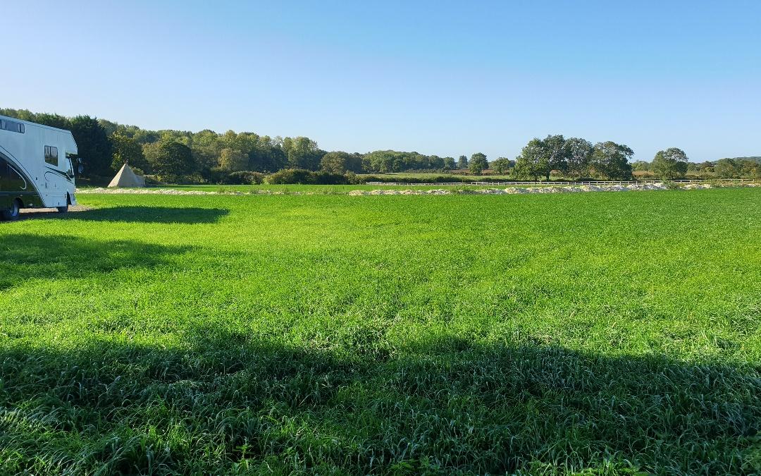 Stunning meadow views here at Go Wild Glamping 