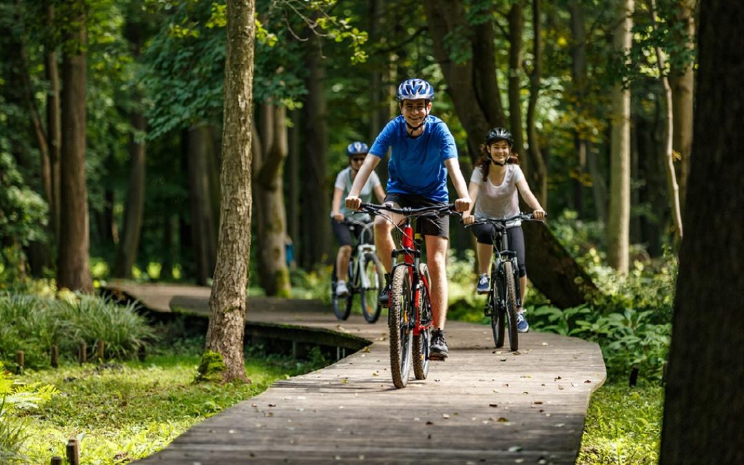 Cycling witht he family in thetford forest