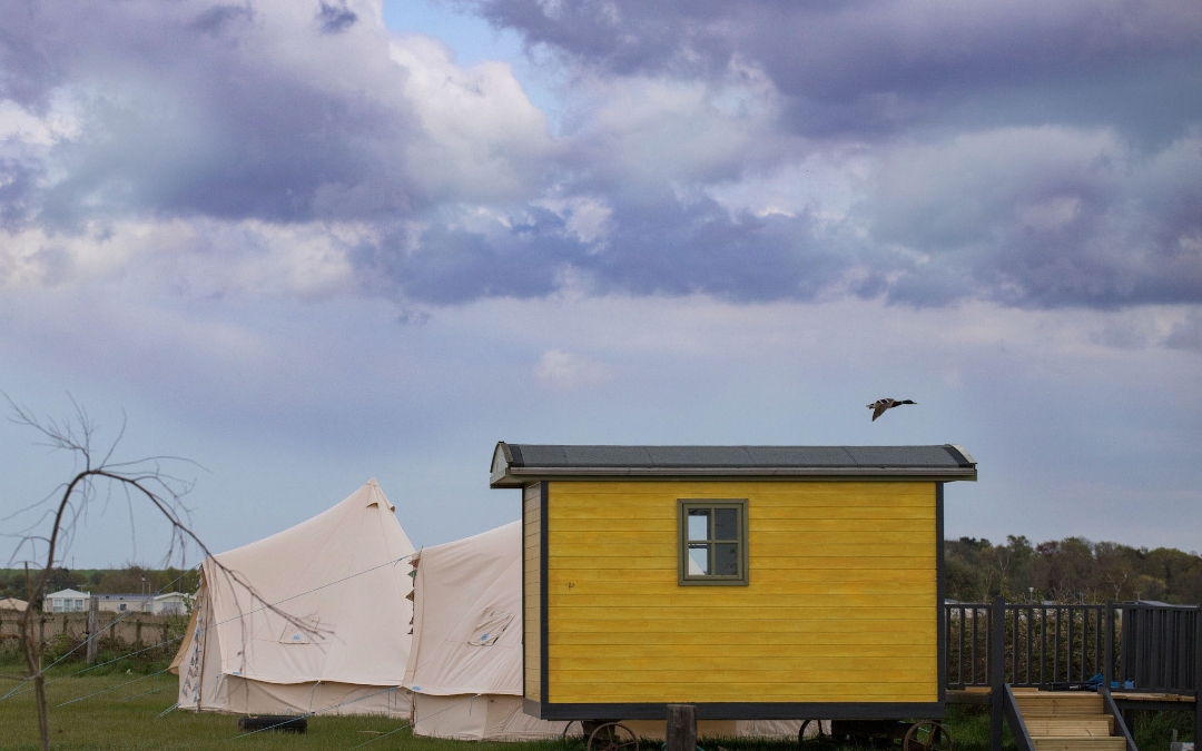 Glamping shepherds huts and bell tents with duck flying overhead