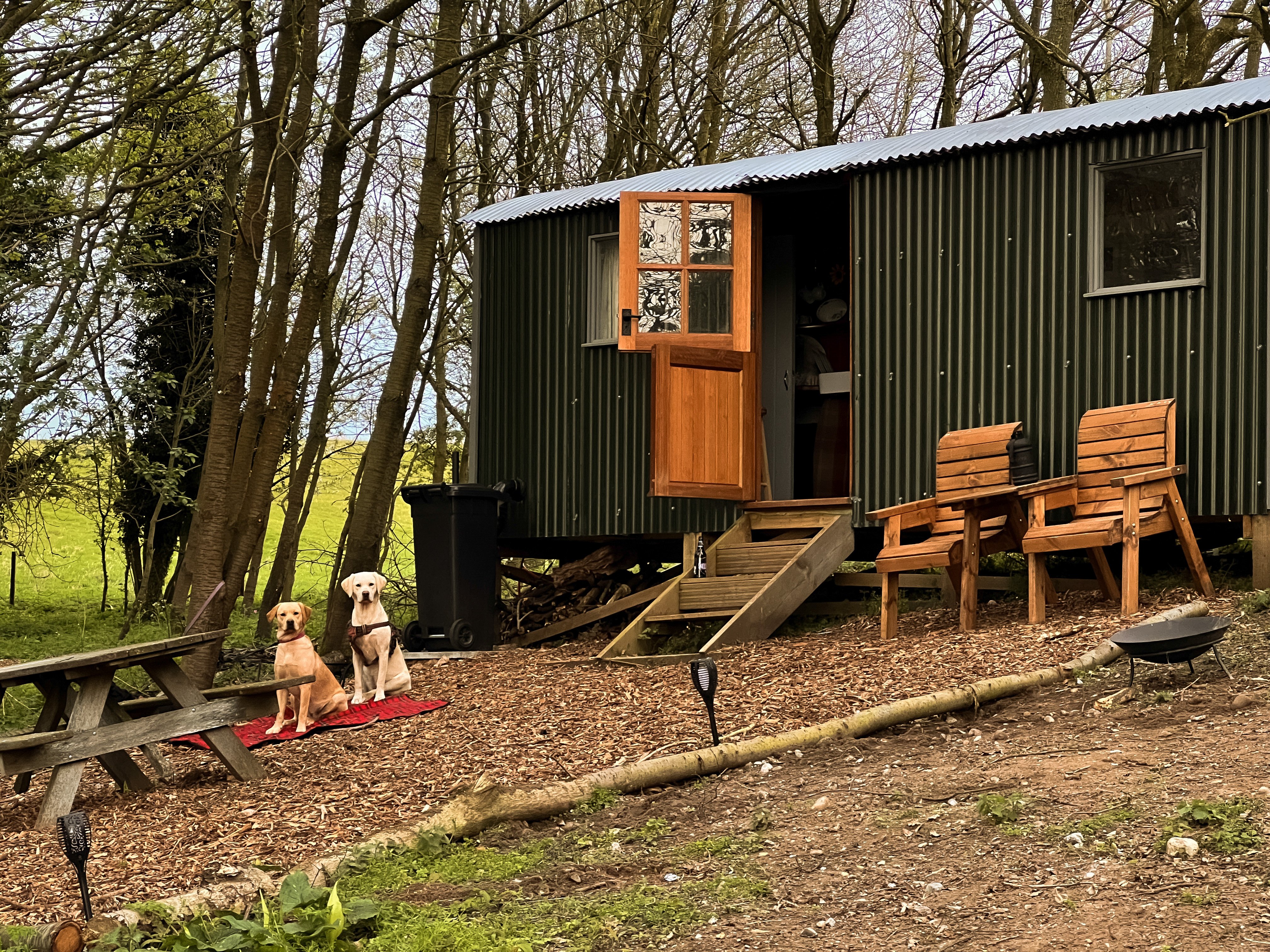 A shepards hut sat in front of tall trees