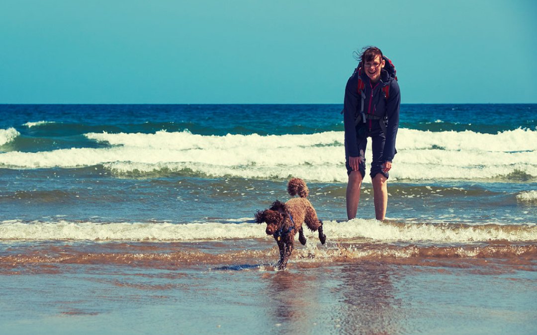 visit the famous snettisham beach here at go wild glamping