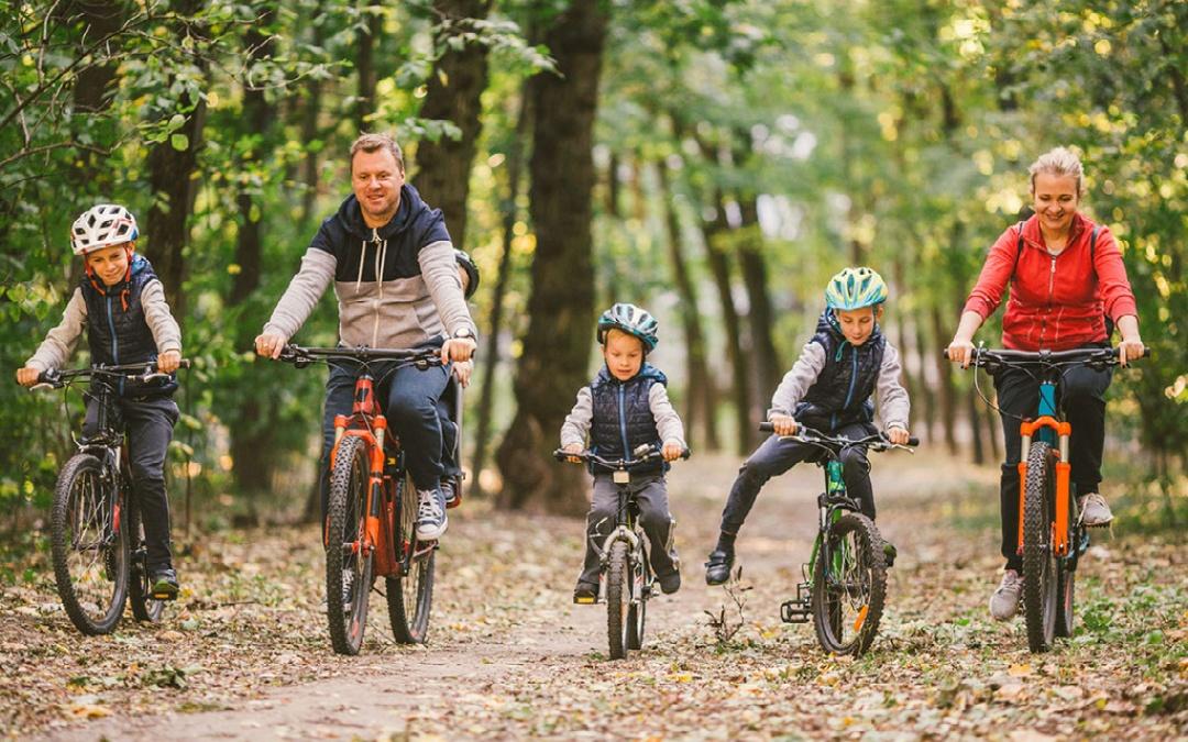 Cycle with your family in thetford forest for an epic adventure