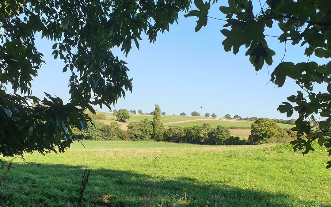 Stunning meadows and countryside views at Holt Hollow
