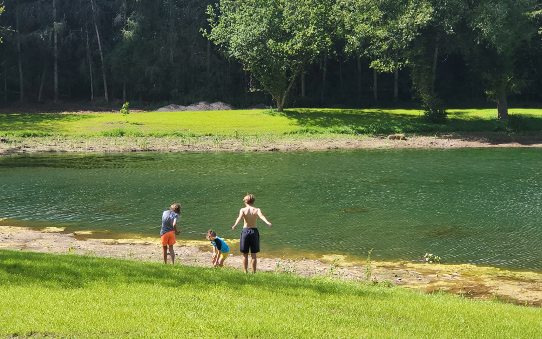 Kids playing in the sunshine by the lake at Holt Hollow
