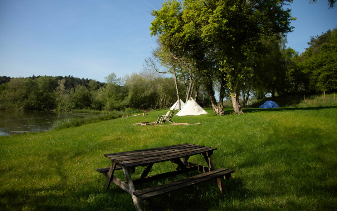 Relax in our green meadows by the lake at Holt Hollow