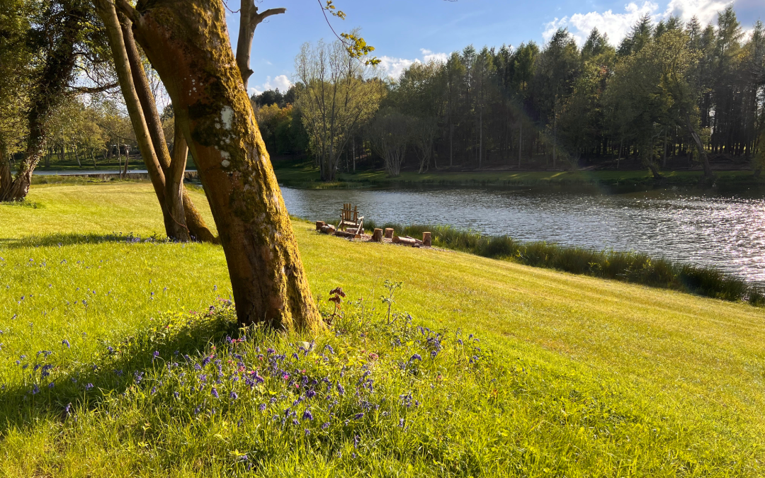 Green grass and stunning views looking over the lake at Holt Hollow
