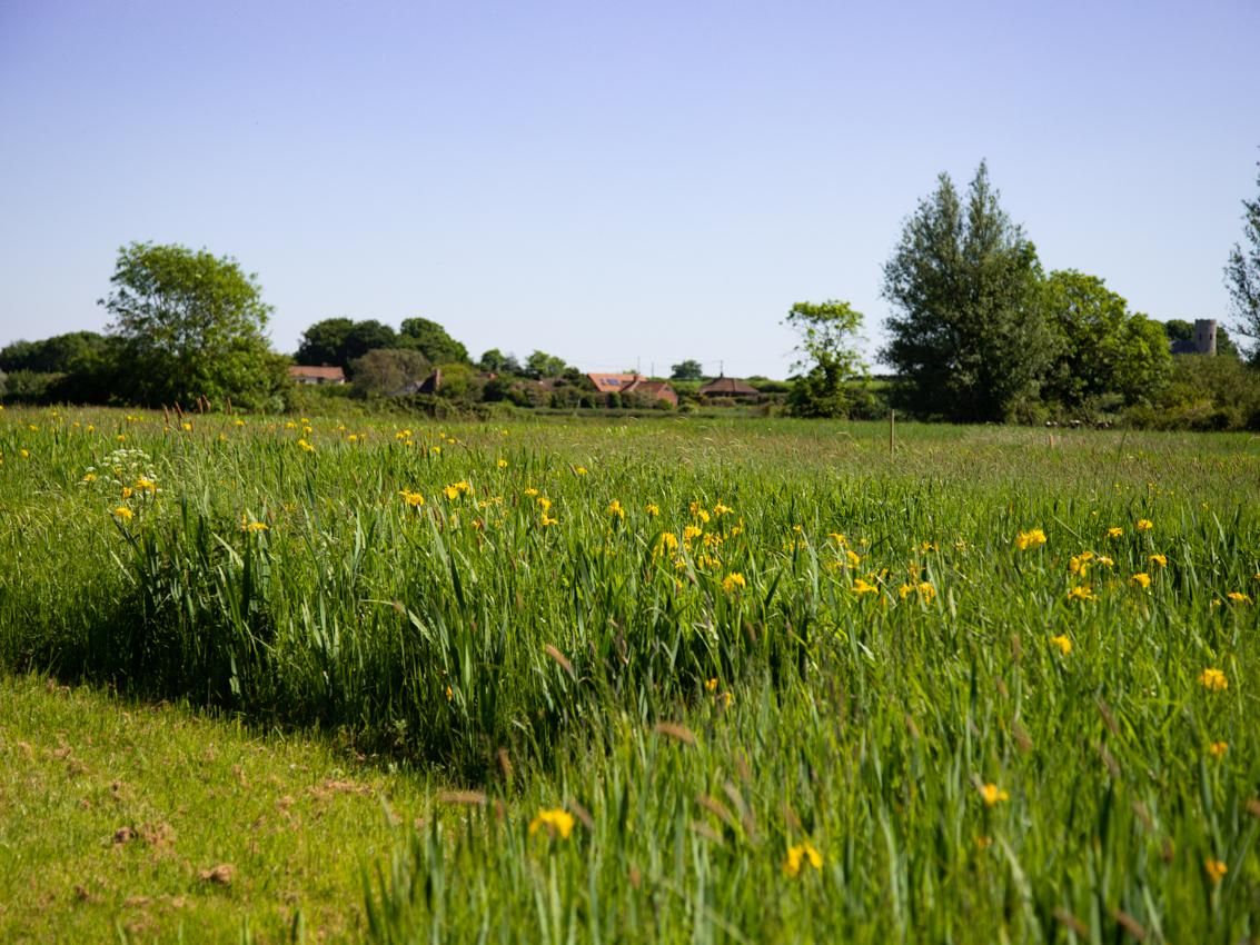  wildlife habitat and rural Camping