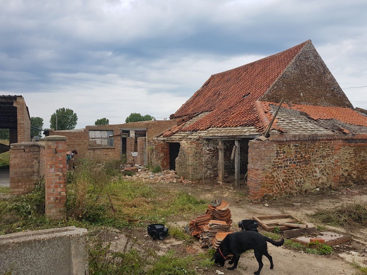 dilapidated farm under construction and overgrown with weeds