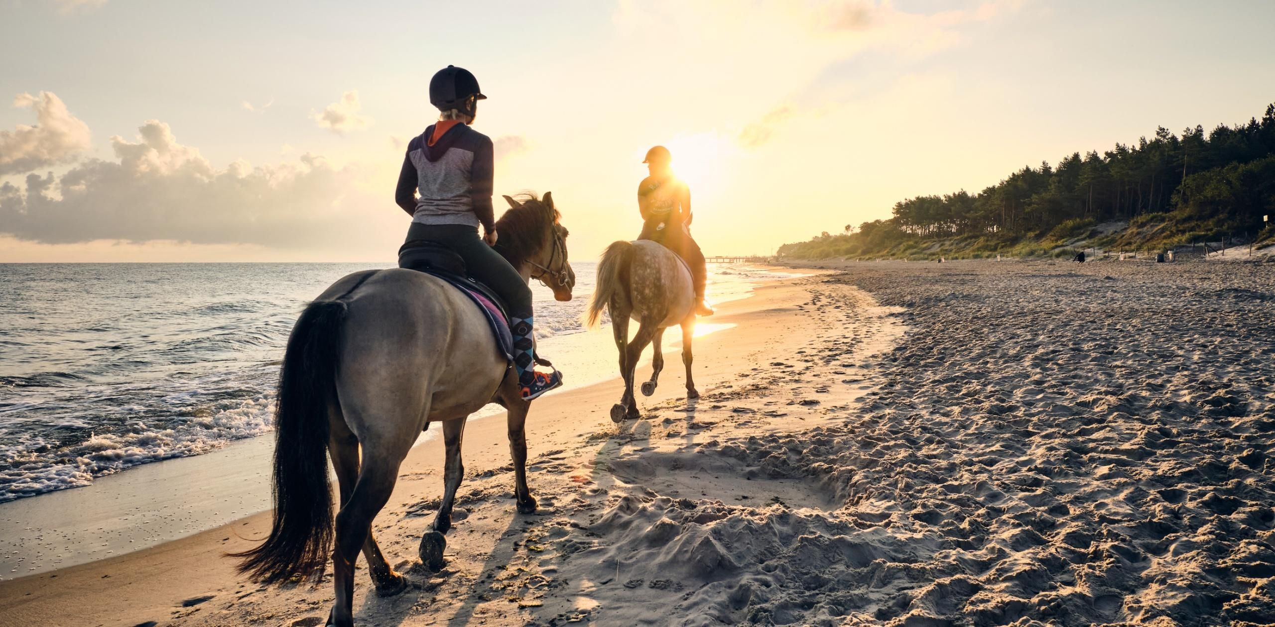 B&B by the Beach for you and your Horse