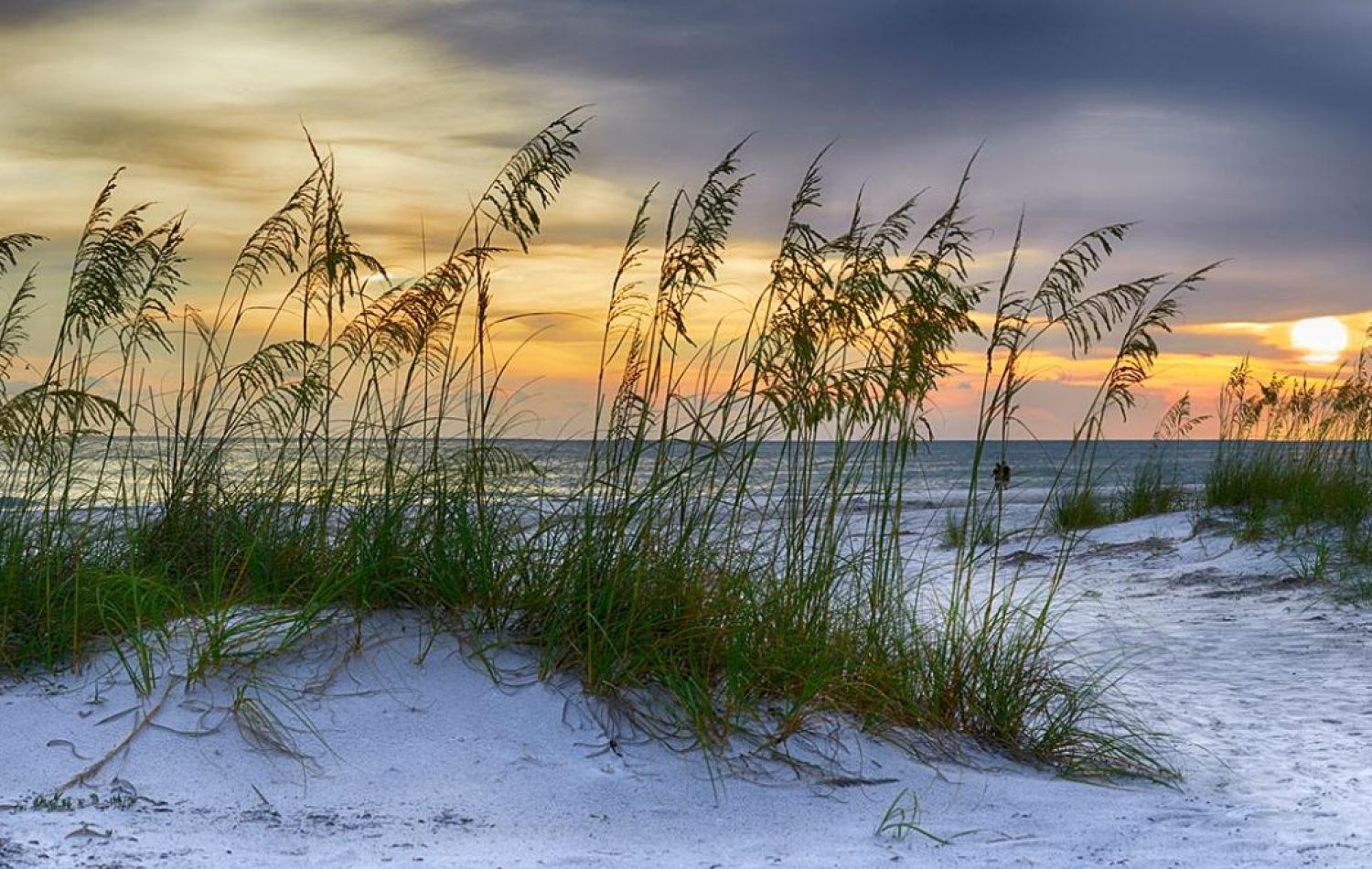 sunset over the sea at holme dunes national reserve