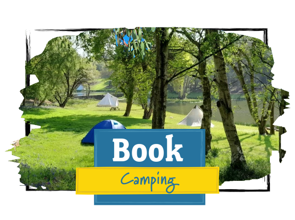 book camping at a lakeside woodland camping venue