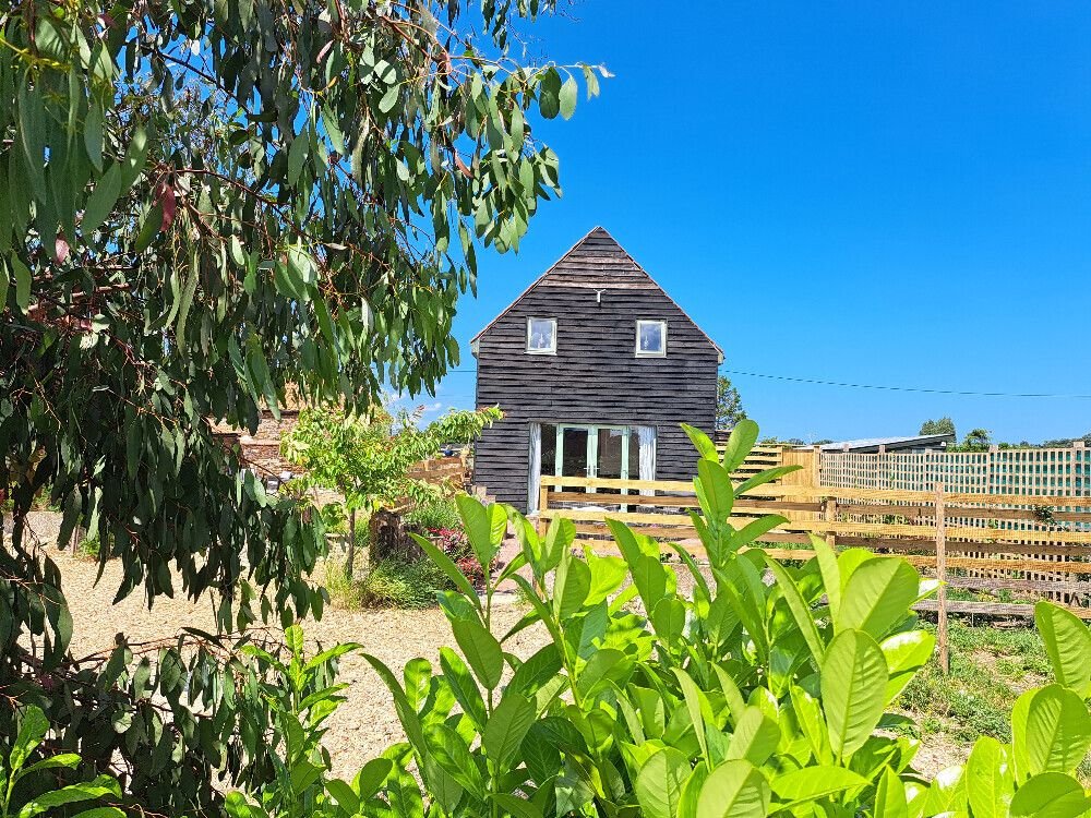 a renovated building with fresh wood panelling seen through shrubbery with a vast, blue sky above