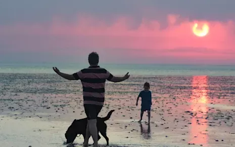 Family with the dog enjoying the beach