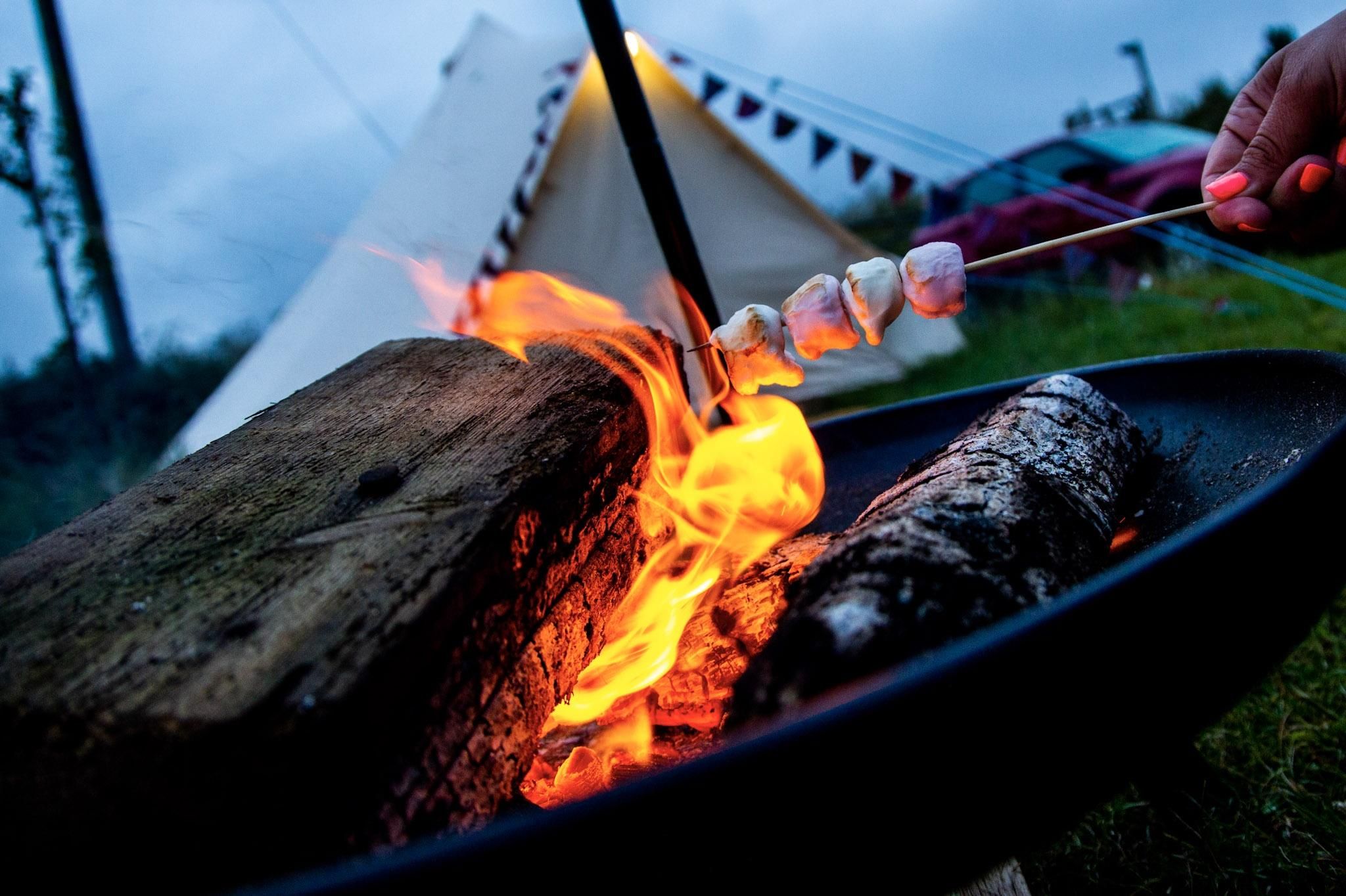 South-Beach-Camping: Cooking marshmallows in a fire pit