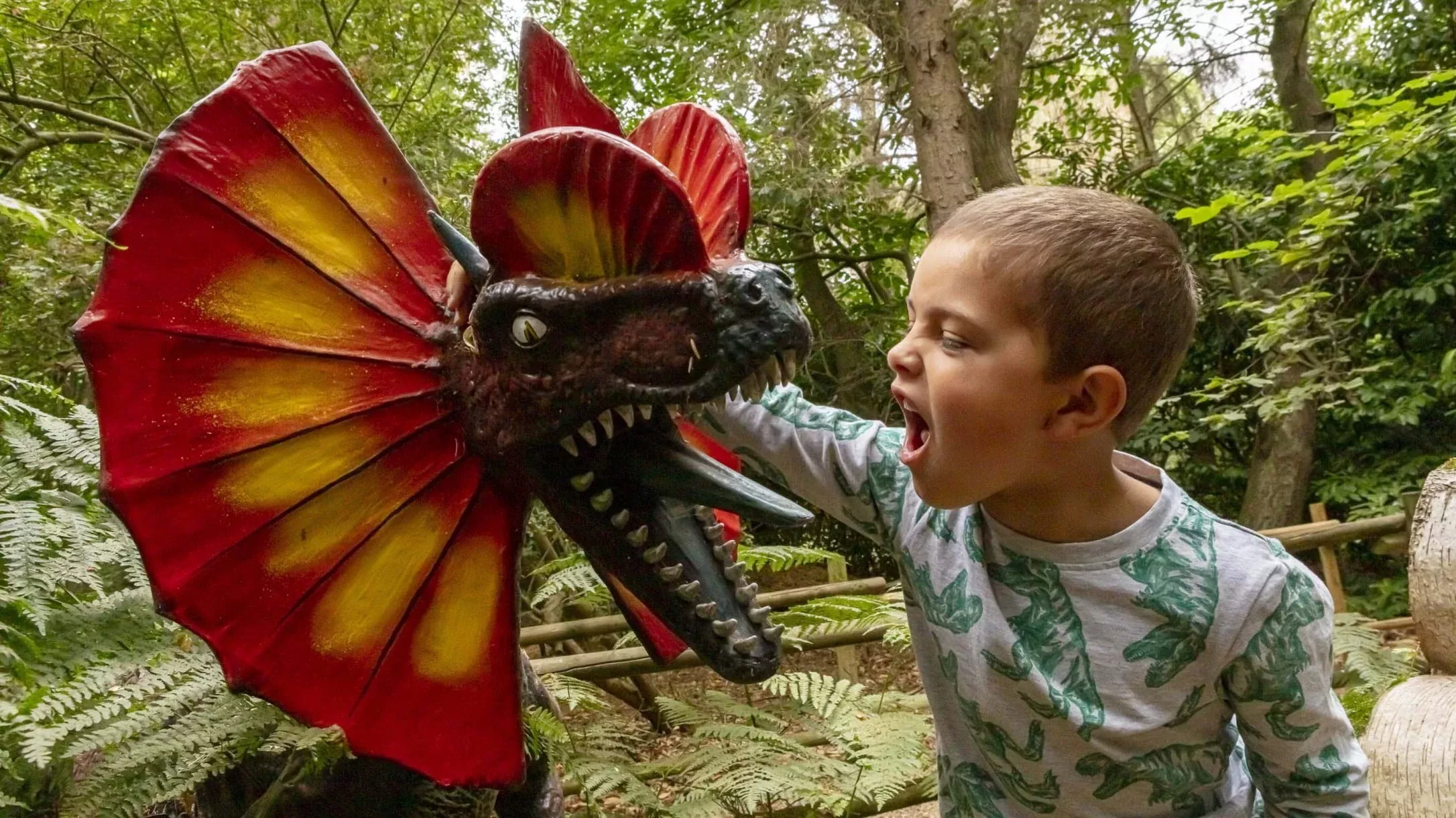 a kid at ROARR dinosaur park