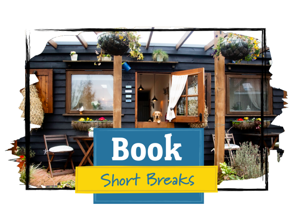 book short breaks at dog friendly norfolk chalet