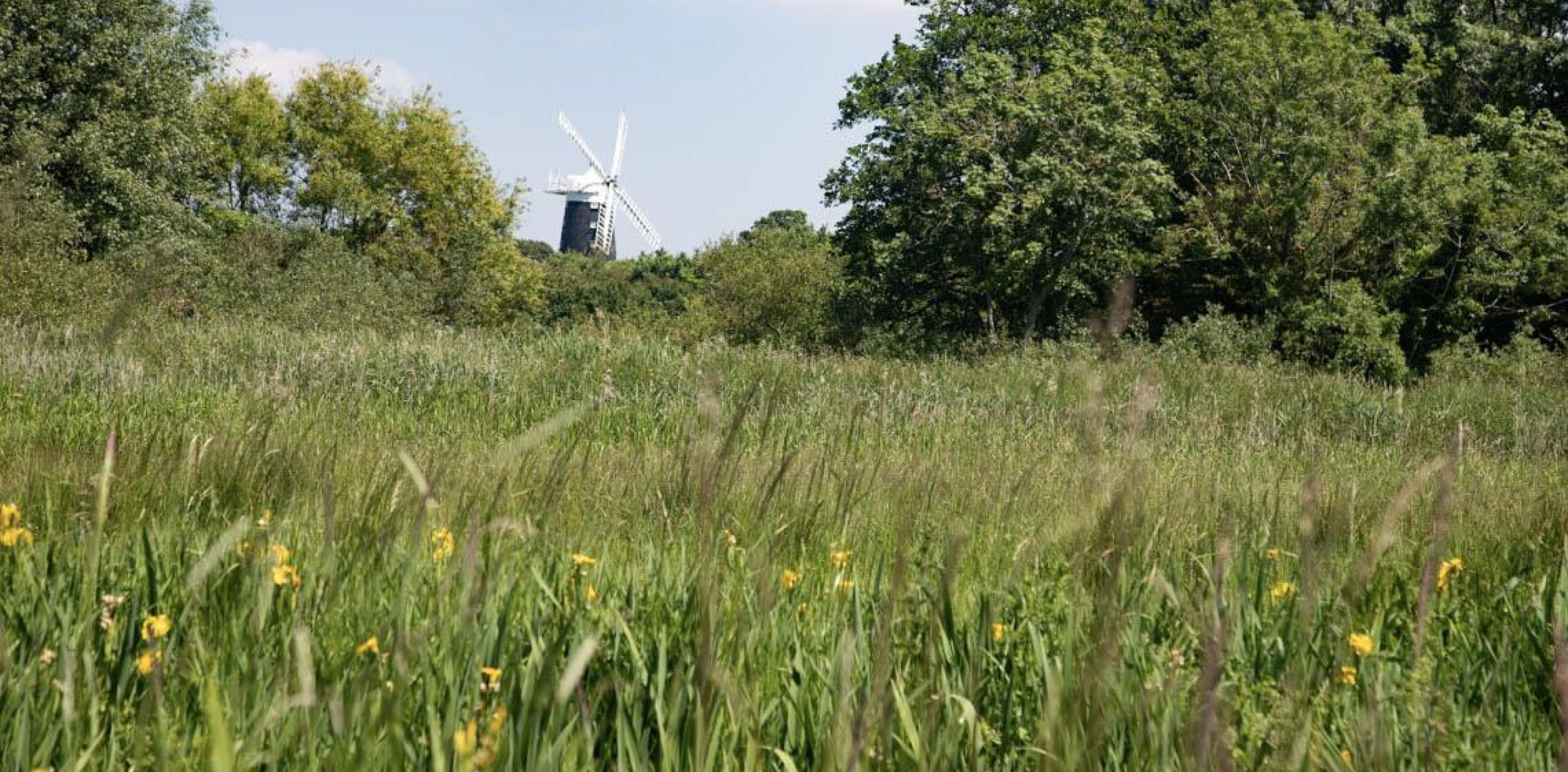 New Campsite in Norfolk