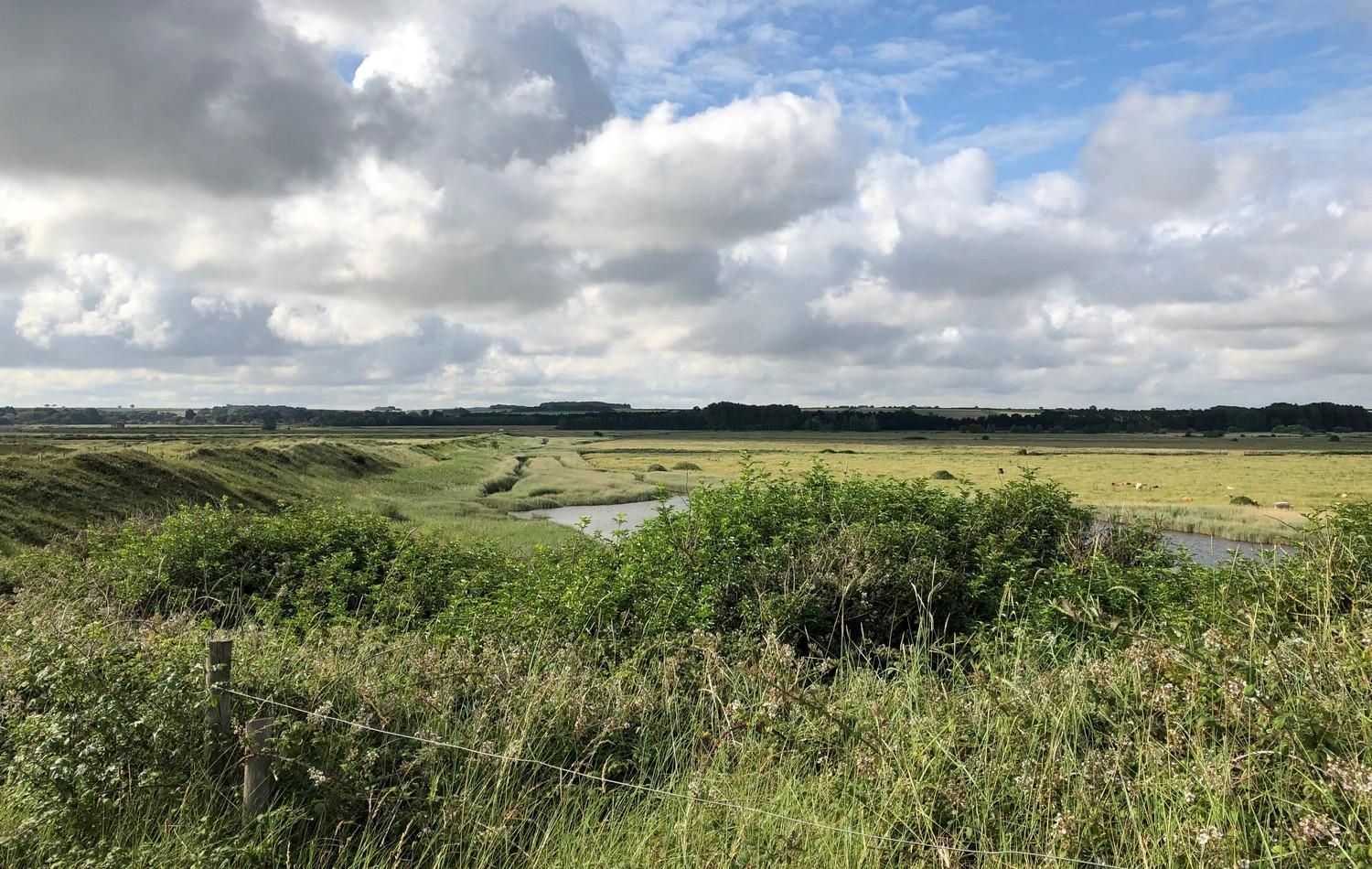 Views out over the wildlife-filled Marshes of Holme