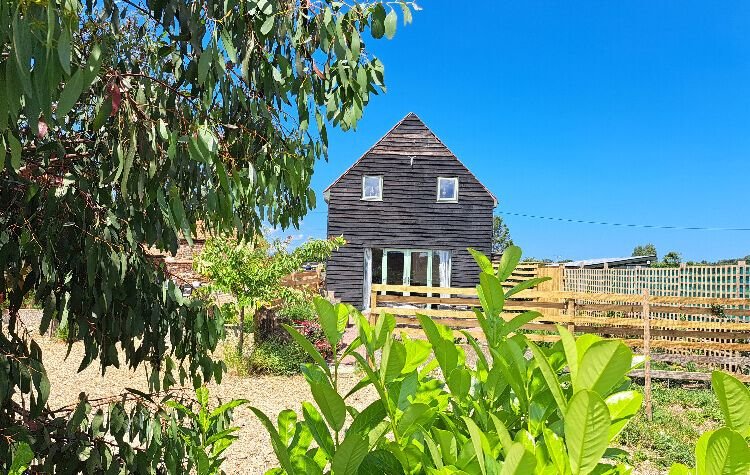 cottage bathed in sunshine hidden behind flowers