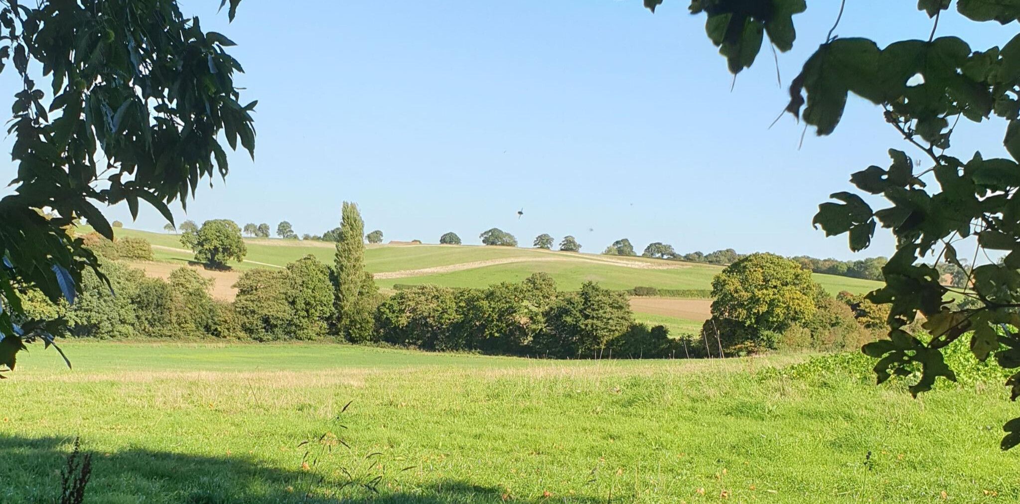 holt hollow countryside views