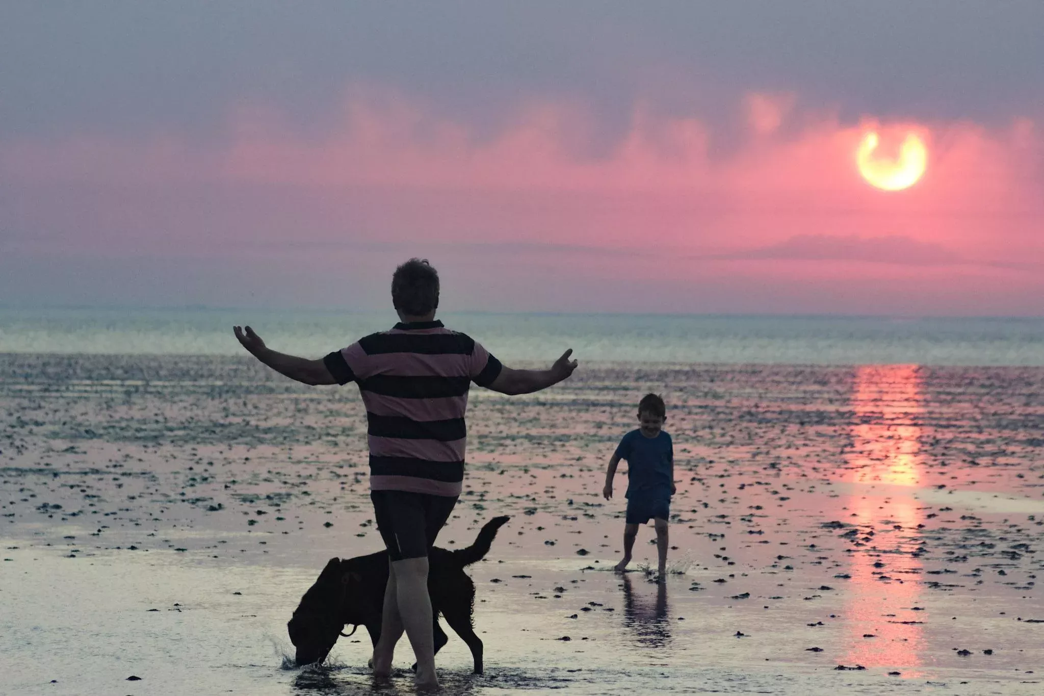 a father and son walking on a dog friendly camping beach with their dog during sunset