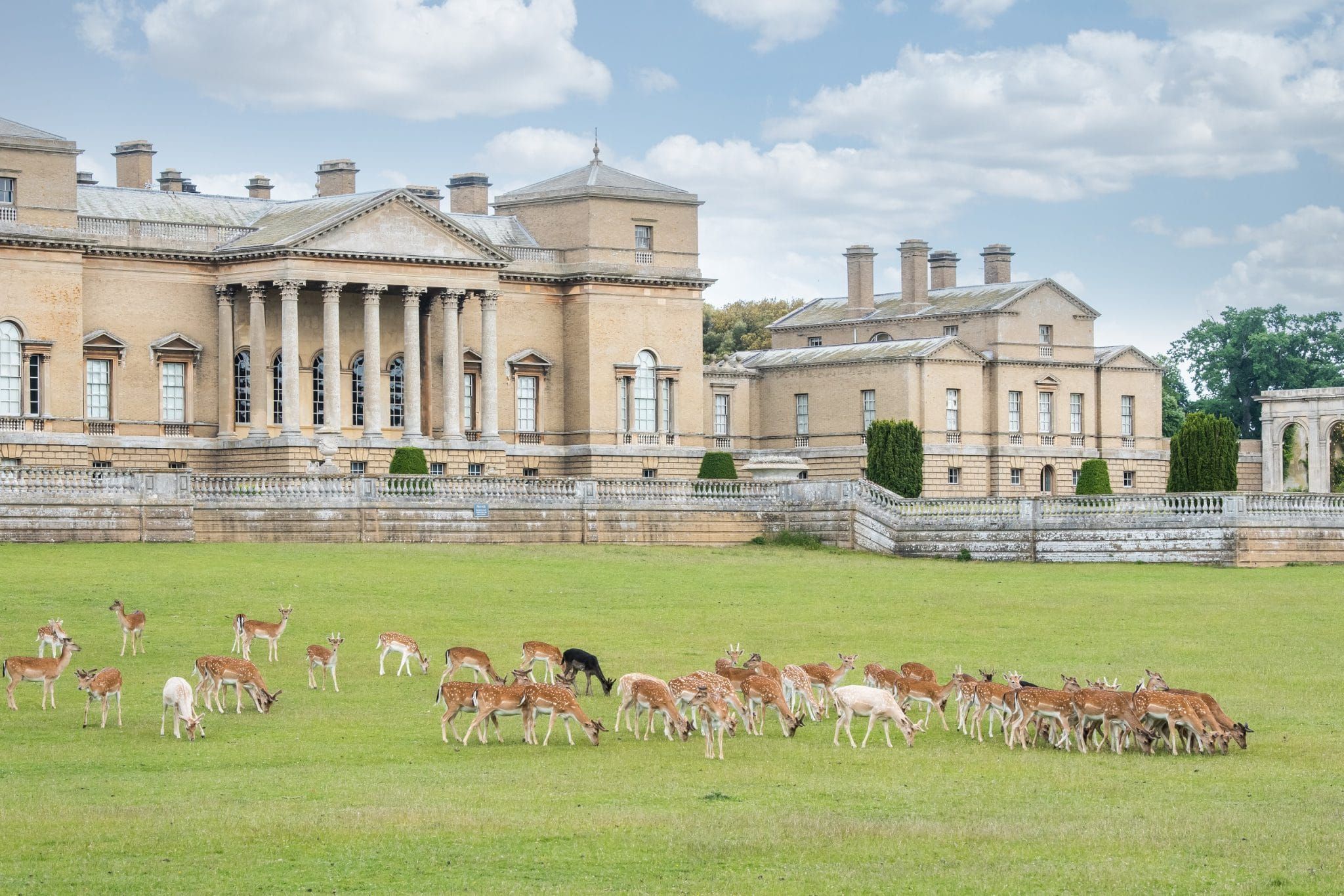  Holkham Hall