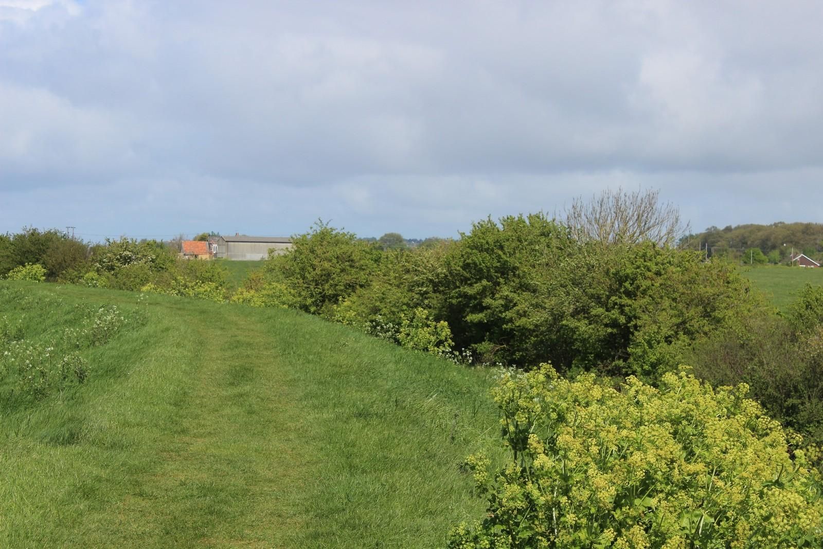 Walking along the Norfolk Coast Path with views of green fields and headgerows with a house in the distance